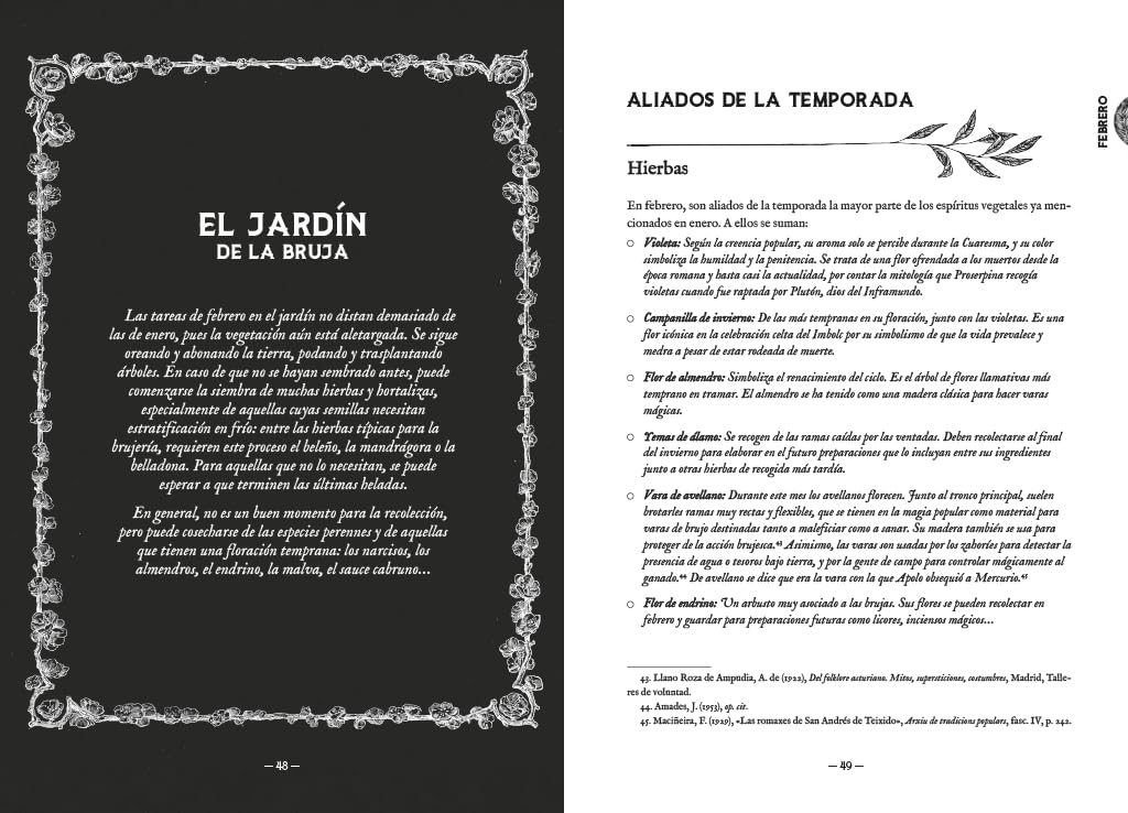 Almanaque de la bruja tradicional: Rituales, magia y folklore a lo largo del año (Bruguera Tendencias)